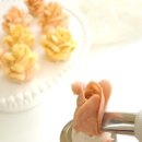 플라워케이크지도사(앙금플라워떡케이크) 이미지