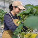 주영농장 이미지