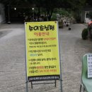 송이 초심정 이미지