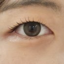 오하이네일 | 부평역 속눈썹펌 '오하이래쉬' 내돈내산 후기