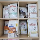 내곁에 동물병원 이미지