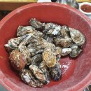 석화 티스토리