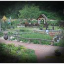 동치골 허브 야생화 마을 이미지