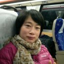 설피한우 Daum카페