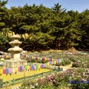 전통건축-10391. 경주 서악동 삼층석탑 - 벽돌탑의 형식을 돌로 재구성한 모전탑 계열 석탑 (2026.05.17.)
