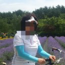 태산 유한회사 이미지