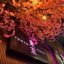 도쿄술집 평택역점 이미지