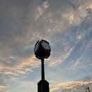 아부지고깃간 | 🕰️ 일상기록 | 2025년 9월 3-4주차, 논골집수서, 대구막창맛집, 해외프로젝트, 화락바베큐, 대학멘토링...