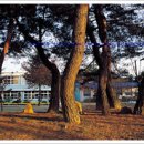 흥해서부초등학교 이미지