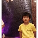 도개스파 이미지