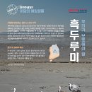 심상철 | 11월의 수산물, 어촌여행지, 해양생물, 등대, 무인도서 선정