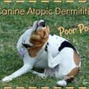 Dr.오즈동물병원 이미지