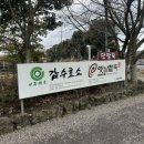 성읍 | 성읍민속마을 '옛날팥죽' 솔직 후기, 제주 지인 추천 이효리 맛집, 국밥이 6,000원? 미쳤다!!