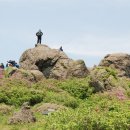 겸백초교 | 보성초암산 산행