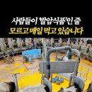 제발 이것만은 드시지 마세요. 큰일납니다. 이미지