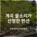 꿈의힐링펜션 | 도착하자마자 힐링 시작! 양평 꿈꾸는계곡 펜션 숙박 후기