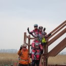 [생태탐방] 소래포구 이미지