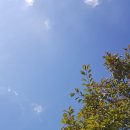 삼포목장 이미지