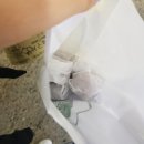 호두명가 이미지