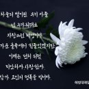 순직 채일병 해군포항병원으로 이송(장례절차 협의) 이미지