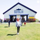 새가산목장 | 평창휘닉스파크 : 콘도, 리도트 &amp; 곤돌라 몽블랑 후기