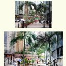 수채화 물빛그림 이미지