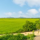 DMZ 평화의 길 21코스 이미지
