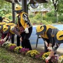 휴먼시아6단지 경로당 이미지