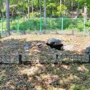 운학동 돌방무덤 이미지