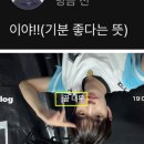 아이브 후배 아이딧, 일베 의혹? 거꾸로 사진, 기분좋다! 노무현 조롱