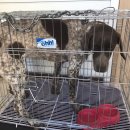 서령초등학교 이미지