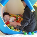 그래도 꽃 이미지