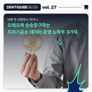 현치과기공소 네이버블로그