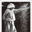 김만덕기념관 이미지