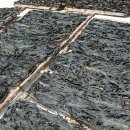 영어조합법인 해맑은 화진포 이미지