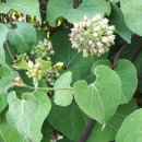 예당농장 이미지