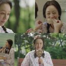 남기애 카카오 검색결과