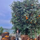 인천한류마을협동조합 이미지