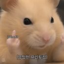 아우귀찮아2026년5월일기임