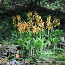 한라수산 이미지