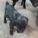 찬진농장 이미지