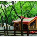 동화야영장 이미지