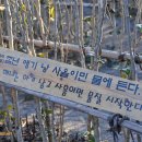 제주민속촌 이미지