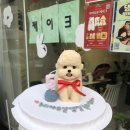 메이드알콩 이미지