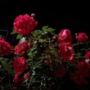 괴정농장 이미지