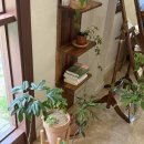 브라운피크닉 이미지