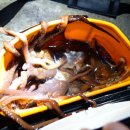 대일모텔 이미지