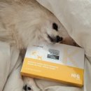 더케이 동물병원 이미지