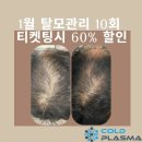 콜드플라즈마 이미지