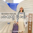 엠G 엔터 | 에어서울 도야마 타고 일본 알펜루트 여행 떠나보자!(RS755탑승후기/LICO 황구케이스 리뷰)